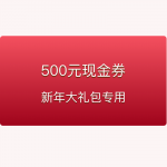 测试2-500元优惠券（新年大礼包专用）